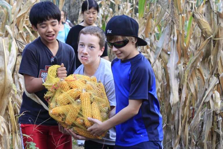 FARMING EXPERIENCE TERRATRIBES,